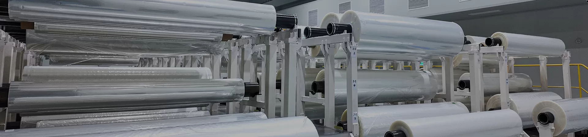 Potenzia la tua attività con soluzioni di film PA/PE ad alta richiesta
